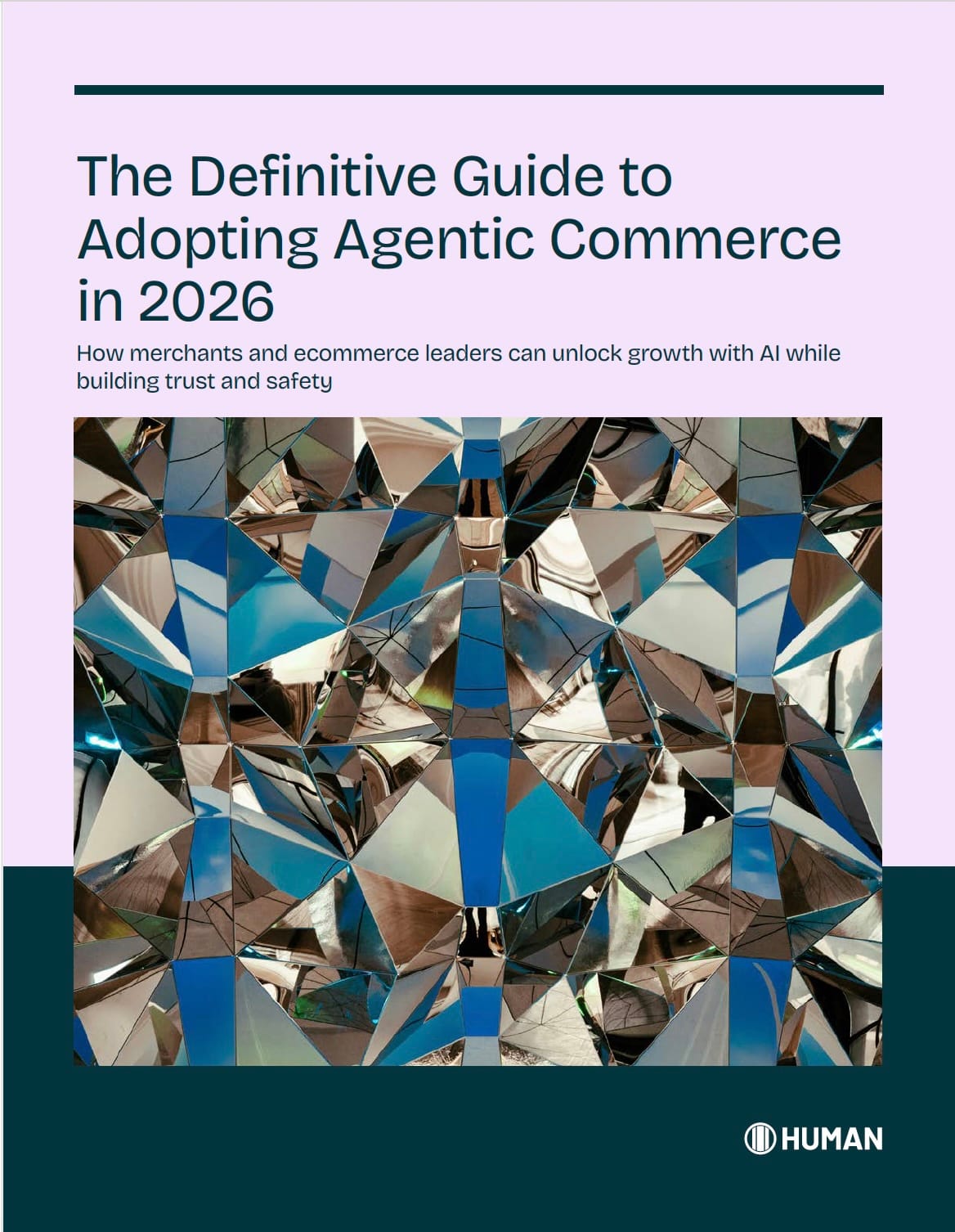 The cover of a guide titled "The Definitive Guide to Adopting Agentic Commerce in 2026." A subtitle reads, "How merchants and ecommerce leaders can unlock growth with AI while building trust and safety." The image background is a dark, abstract photo of a light-refracting, cube-like structure.