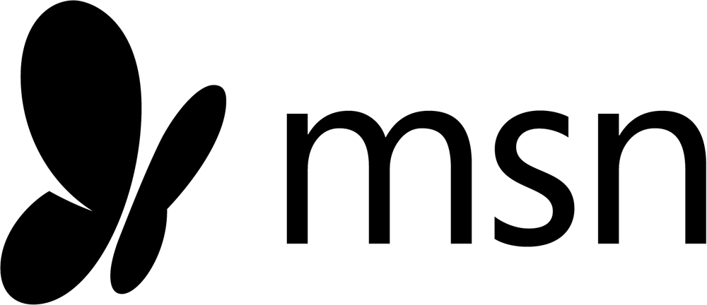 msn_2014_logo_detail