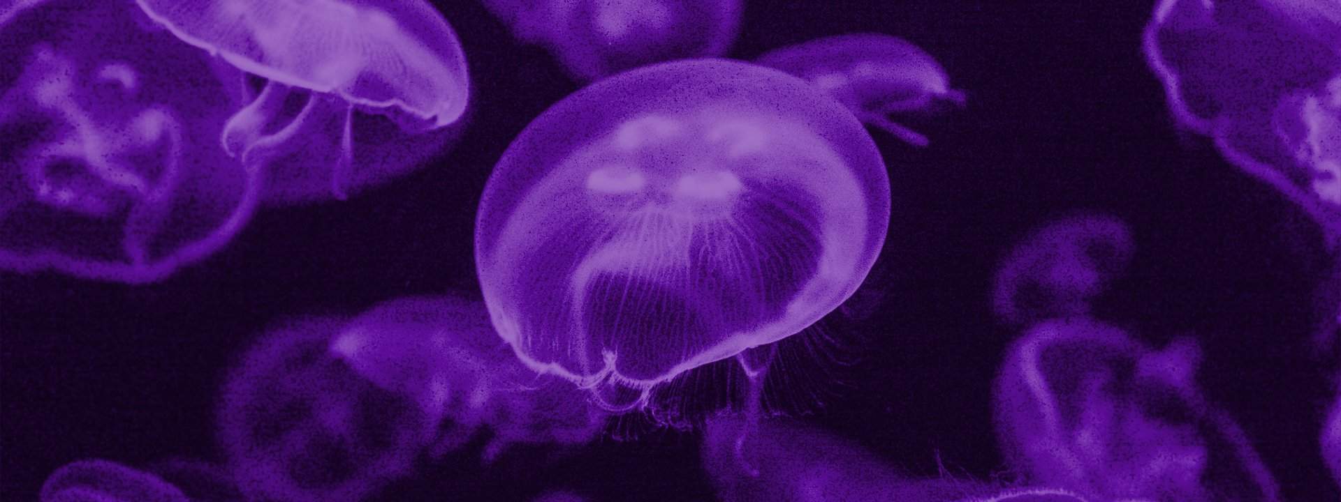 Zero-downtime deployment with Docker