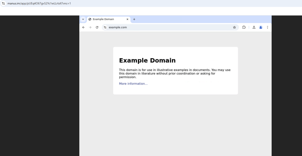 Figure 6: Manus navigates to the example domain in its browser tool. 